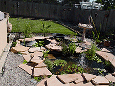 Our pond looks even better with grass behind it!