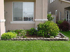 A nice front yard -- but nothing special.