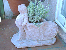 Frog dragging a nautius shell.)