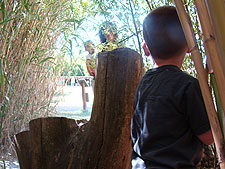 Hunter in the bamboo