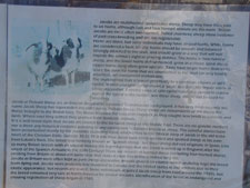 Jacob the Four Horn Sheep info