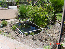 Existing pond with flagstone and some plants removed.