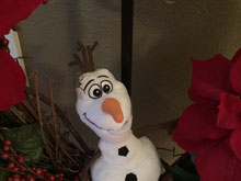 Hug and Find Olaf