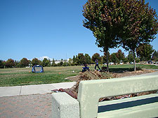 The debris pile is growing!