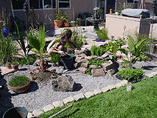 Heidi Planting around the waterfall.