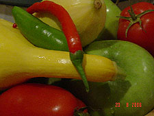 Vegetables from the garden.