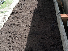 Finally ready for planting.