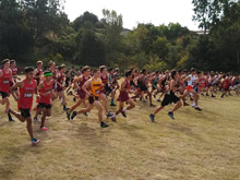 XC Meet