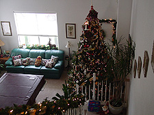 Tree from top of stairs.