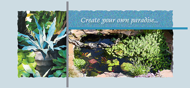 Create Your Own Paradise